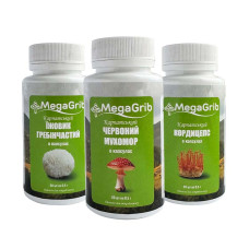 Енергетичний мікс