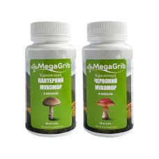 Мухоморний Дует