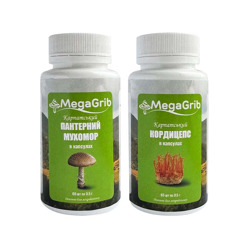 Підтримка фізичної активності та зростання енергії у капсулах: пантерний мухомор та кордицепс