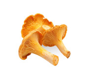 Гриби лисички лікувальні від виробника Megagrib